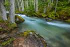 Mission Creek in the Mission Mountains Tribal Wilderness near St. Ignatius, Montana, USA. Art Print